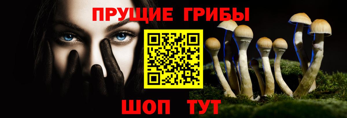 Псилоцибиновые грибы Magic Shrooms  Вход с VPN  Канаш  магазин  наркотиков  Галлюциногенные грибы Cubensis 