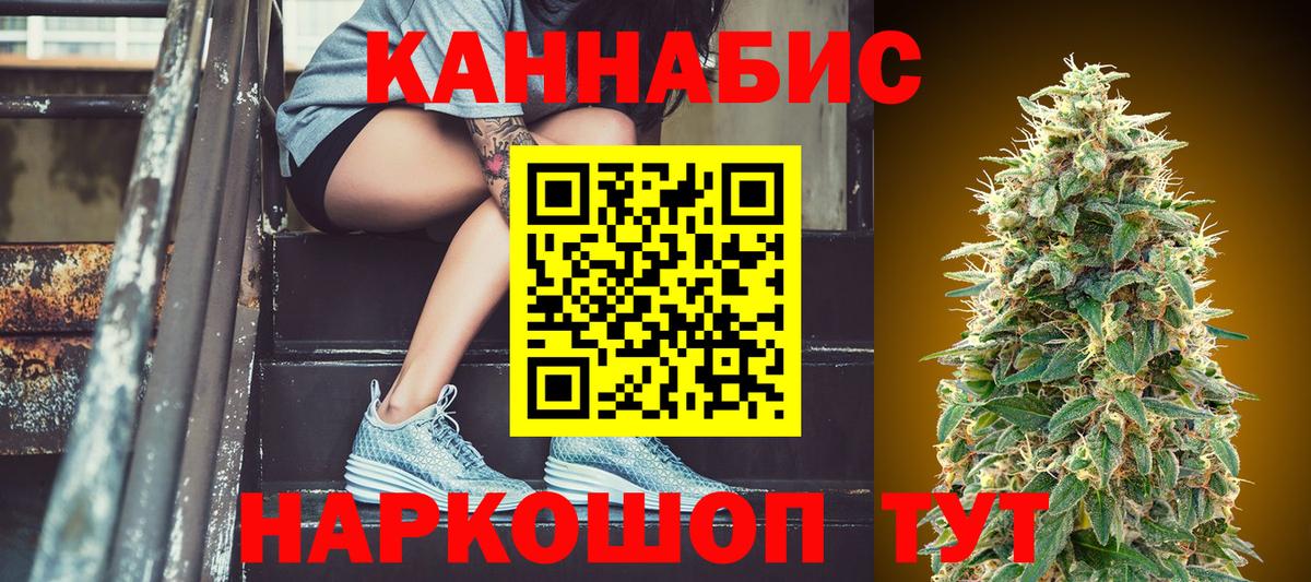 Конопля конопля Канаш
